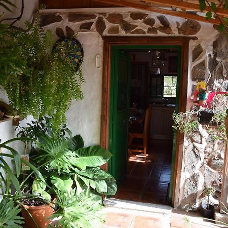 La Casa De Los Pinos Temisas Eksteriør billede