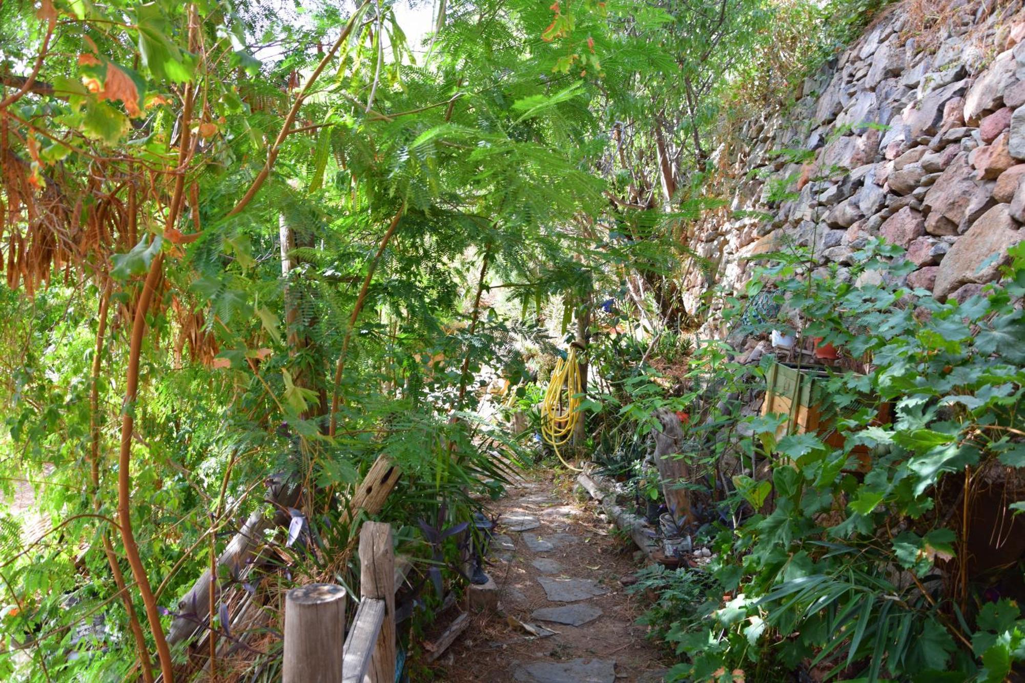 La Casa De Los Pinos Temisas Eksteriør billede